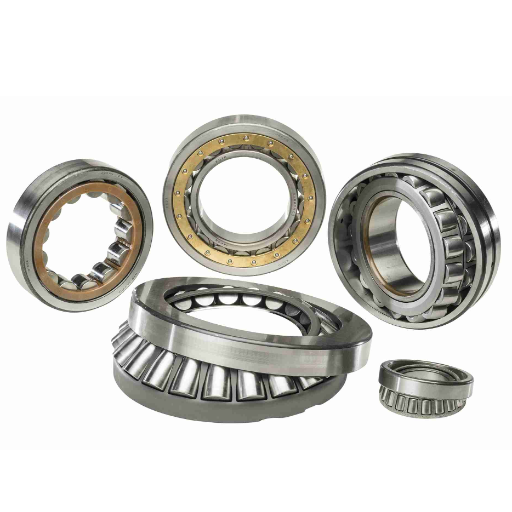 Roller Bearings (1)