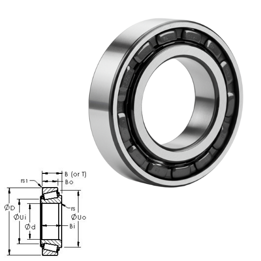 2557725521 Bearing