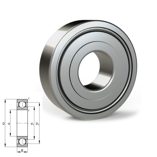 6010 Bearings