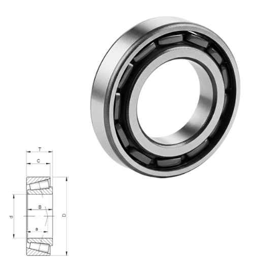 2559025522 Bearing