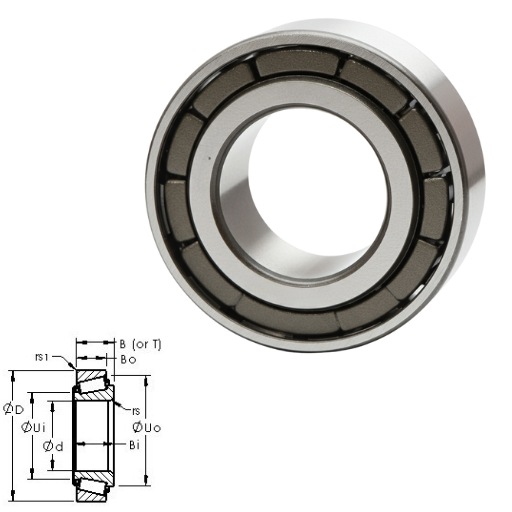 2559025523 Bearing