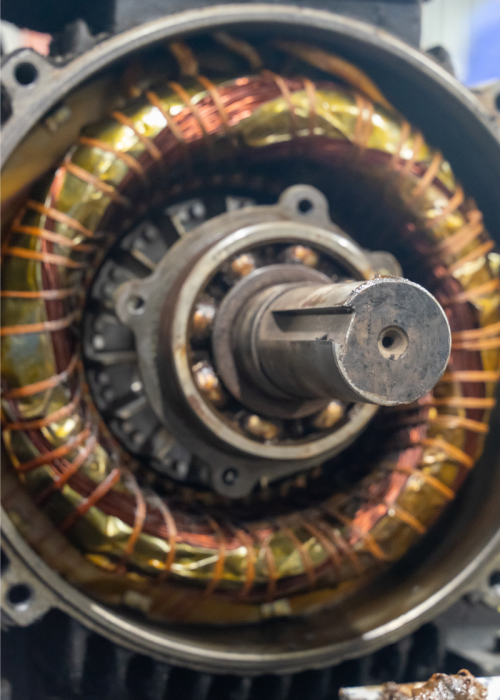 electric motor